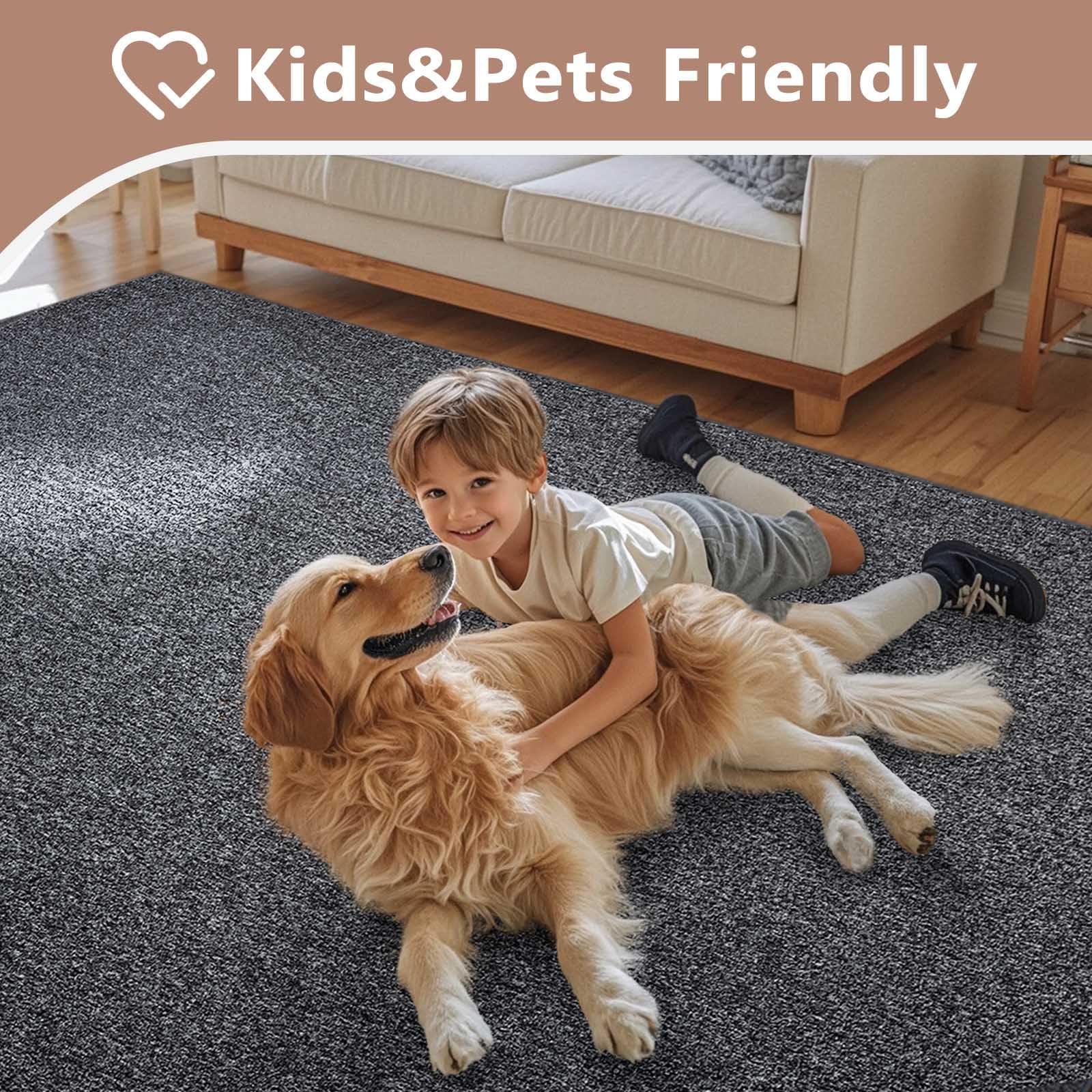 FinRèc compact area rug suitable for homes with kids and pets.