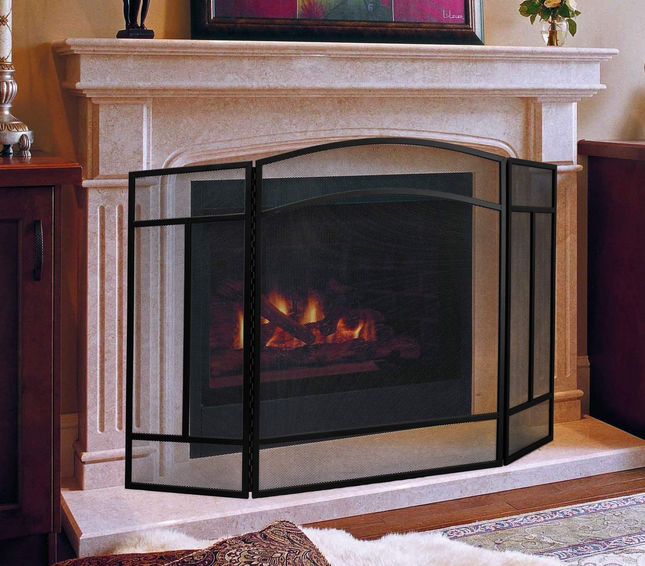 Fire Beauty three-panel screen helps keep kids and pets at bay.