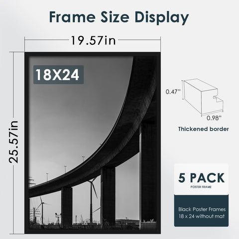 Fisnish black poster frame 18x24 with edge-to-edge display.