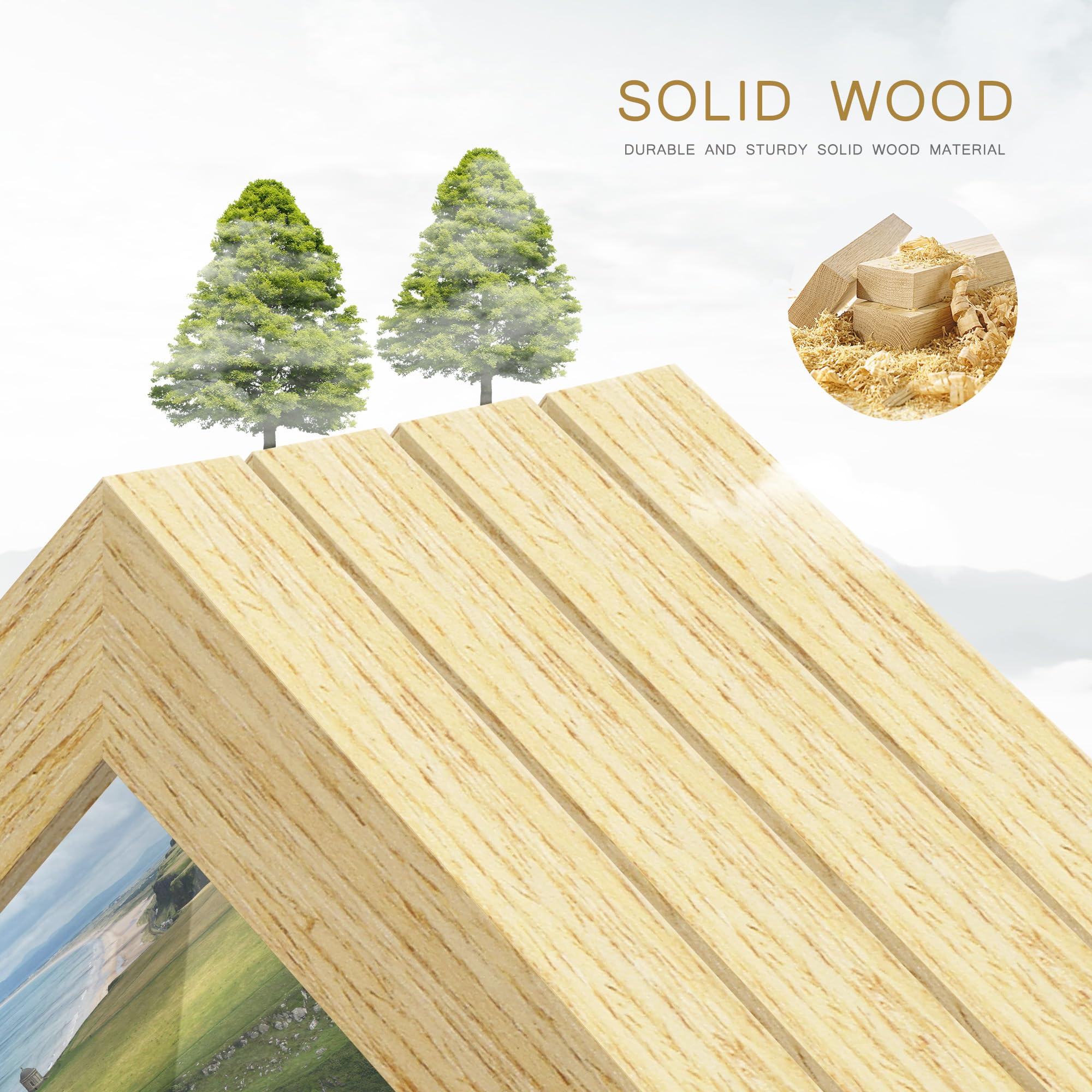 Fisnish 11x17 frames offer a versatile gallery-wall setup for homes and offices