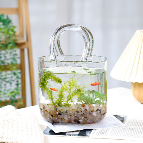 Secure, thick packaging protects the Fixwal vase during shipping and gifting