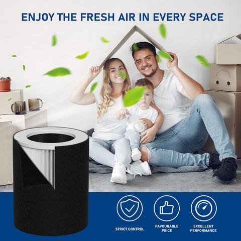 Fizerneer HP670 complete set shows 1 HEPA plus 4 carbon filters.