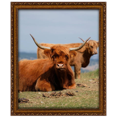 FJXMFRAME Gold 16x20 frame with mat for timeless wall display.