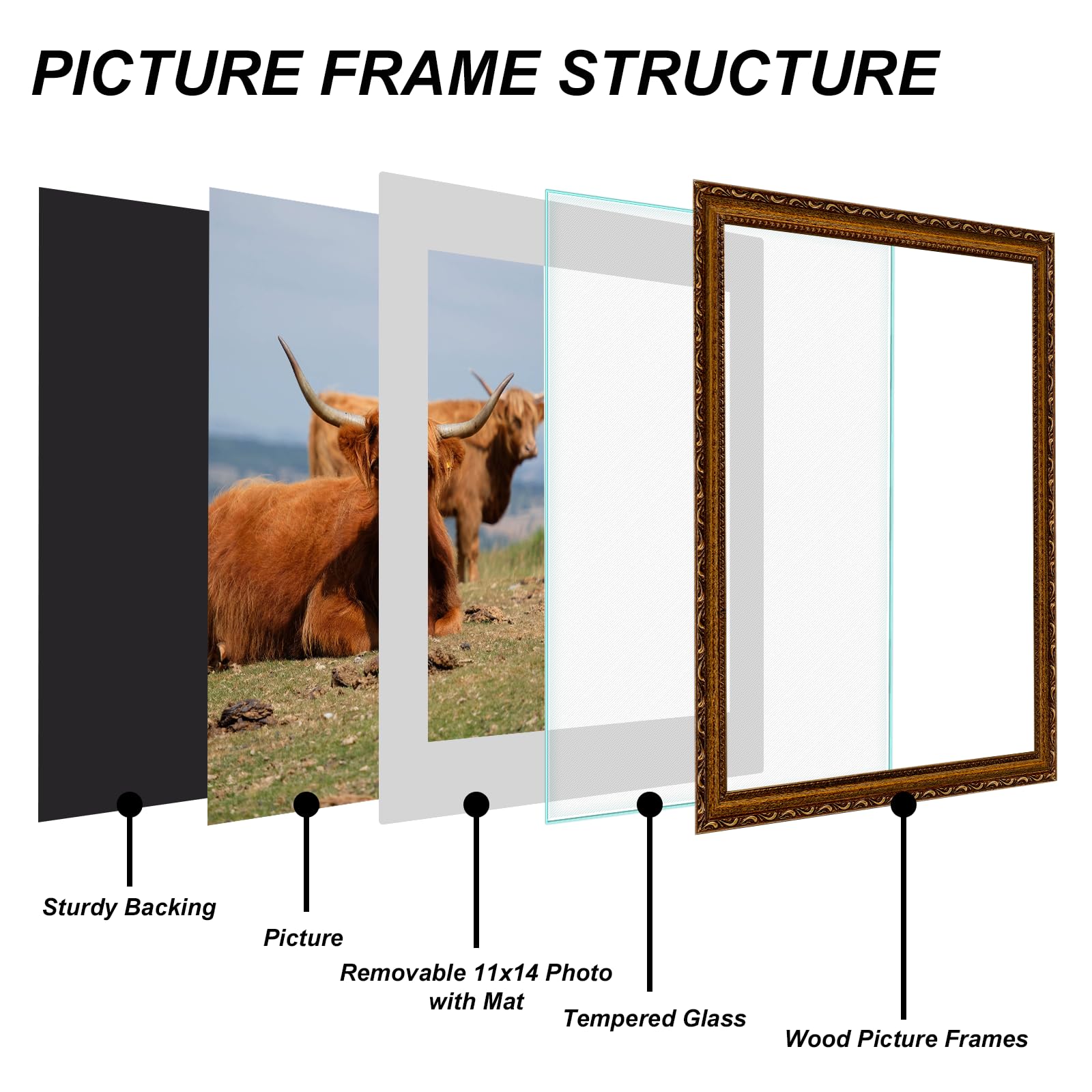 FJXMFRAME Gold ornate pattern close-up showing antique charm for gallery walls.