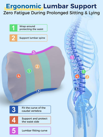 Fledano lumbar pillow offers back relief while lying down for even support.