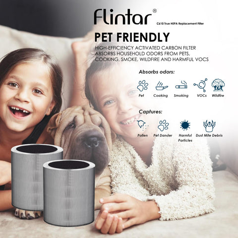 Flintar C610 Filter Z installation is simple with direct compatibility.