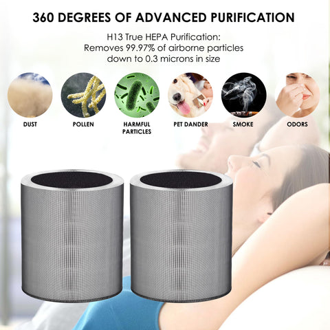 Flintar C610 Filter Z two-pack provides long-term convenience and value.