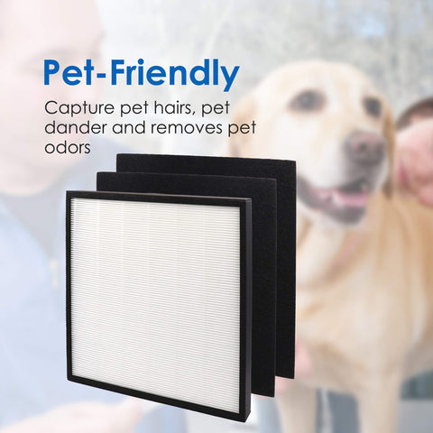 Flintar FLT5900 H13 main filter captures fine particles for fresher indoor air.