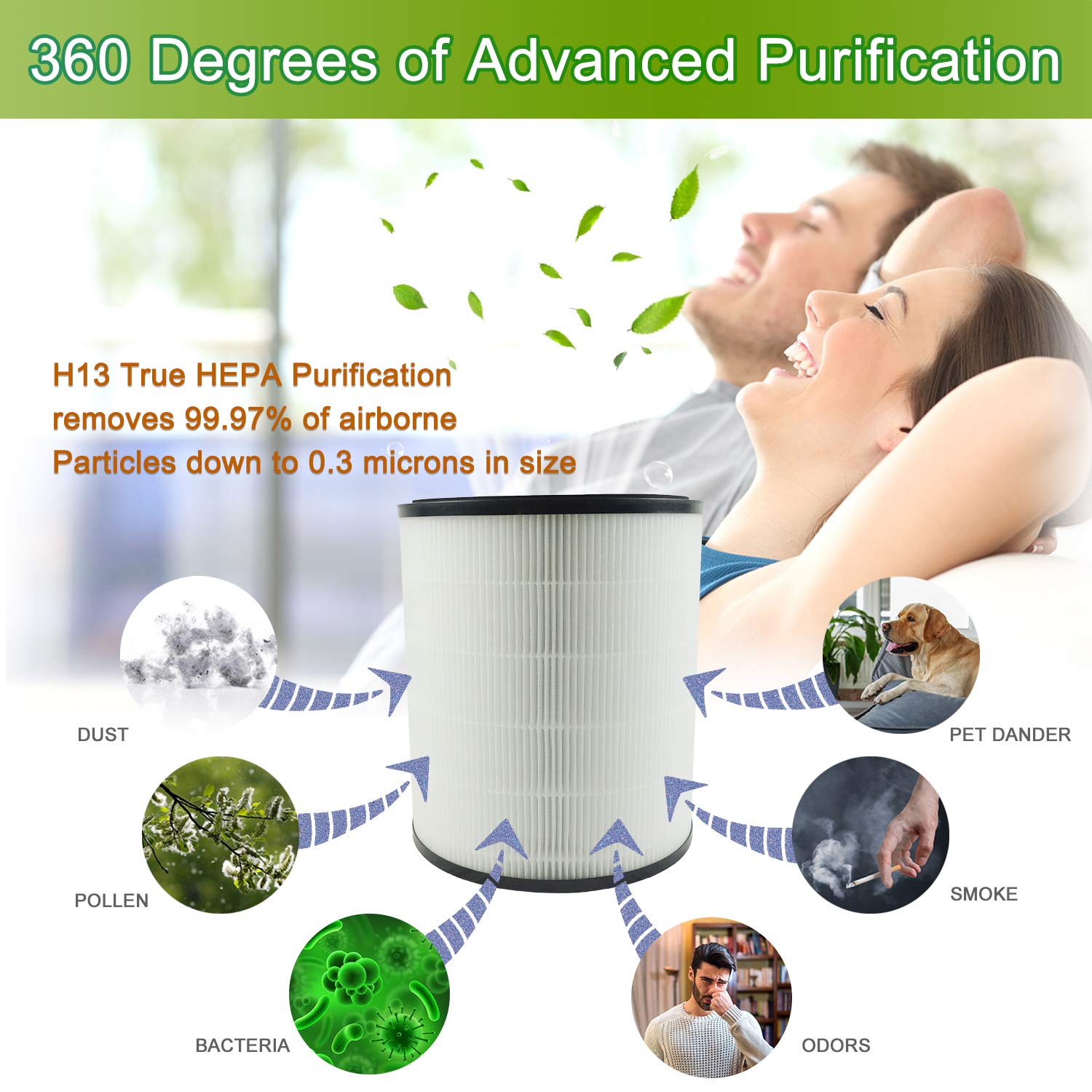 Flintar LV-H133 activated carbon filter closeup reduces odors