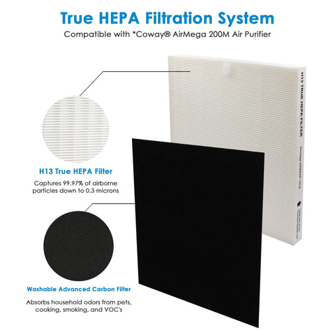 Flintar pack contents show one main filter and two carbon filters