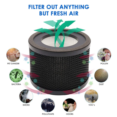 Flintar TT-AP001 activated-carbon filter absorbs cooking and pet odors.