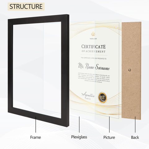 Flocey certificate display in a professional wall setup
