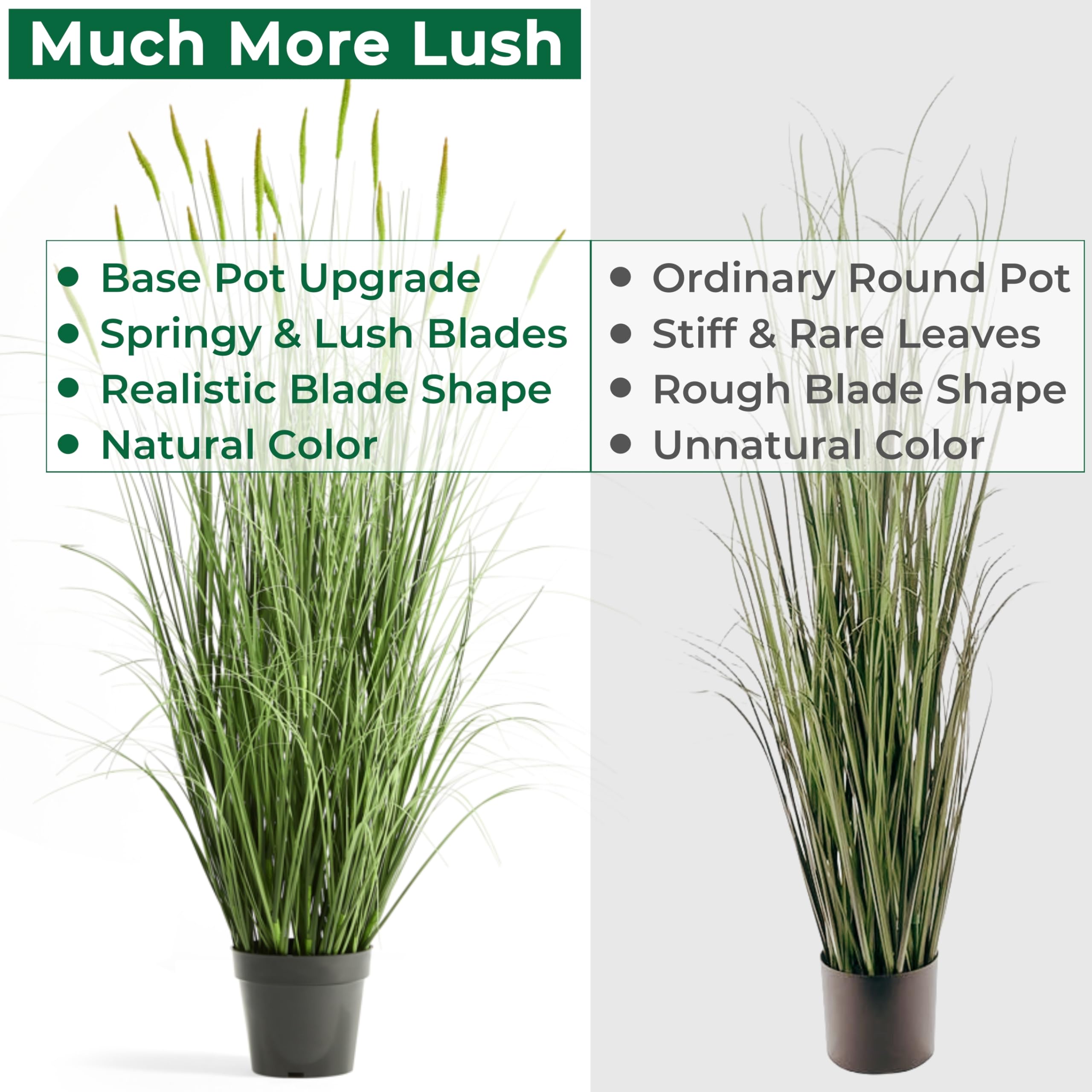 FloraFairy greenery for office decor with horsetail texture.