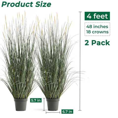 FloraFairy low-maintenance greenery that requires no watering.