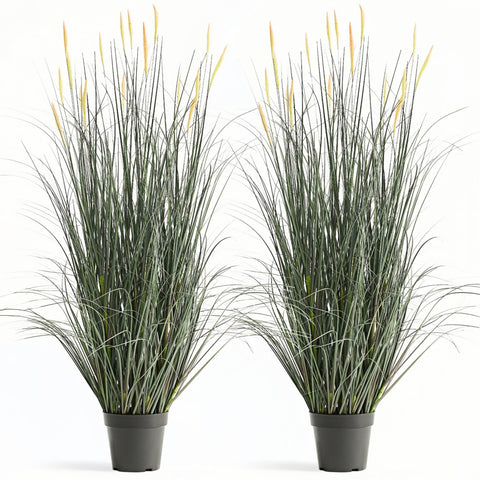 FloraFairy horsetail grass with pink spikes, 4ft, ideal for indoor or outdoor drama.
