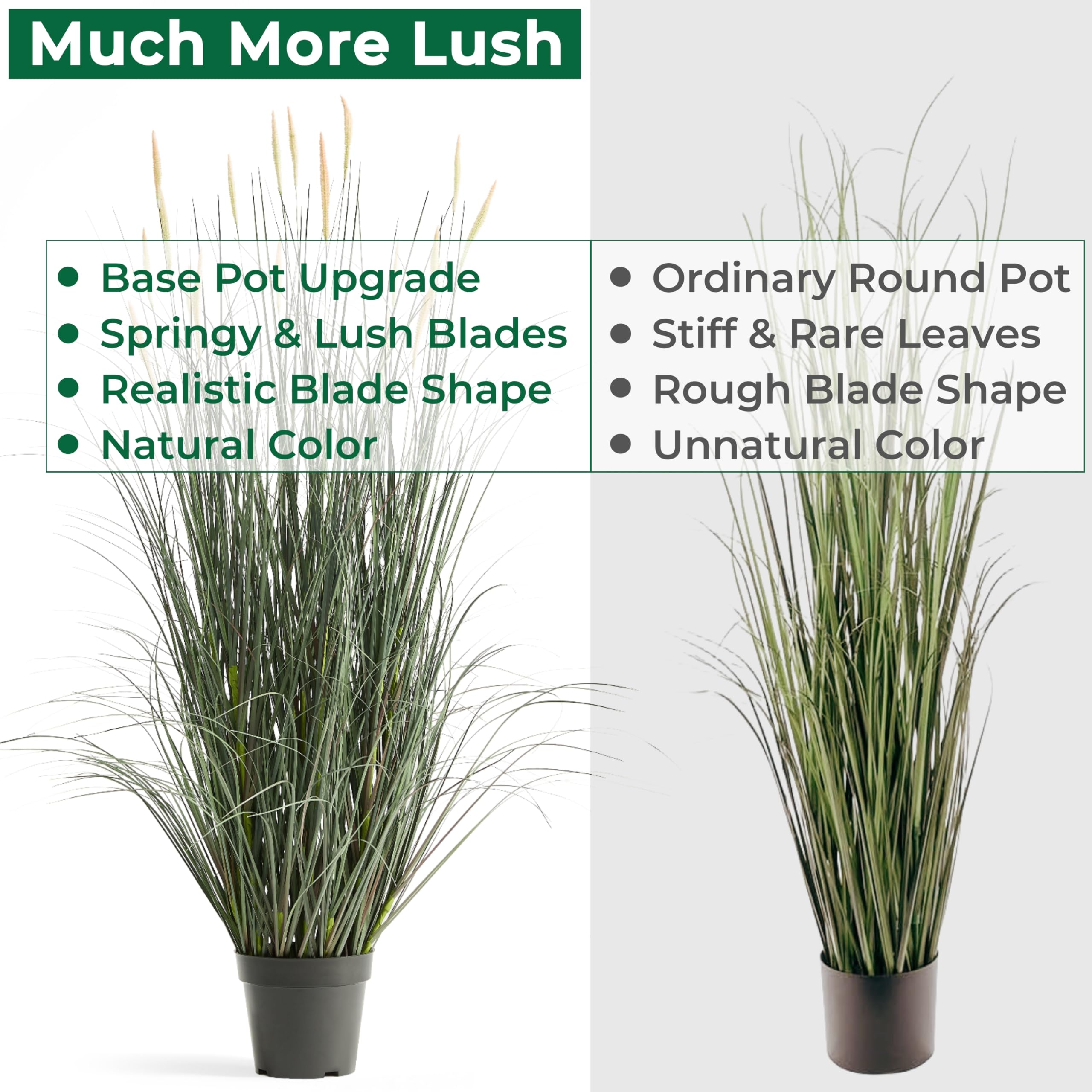 FloraFairy office decor featuring tall pink-spiked horsetail grass.