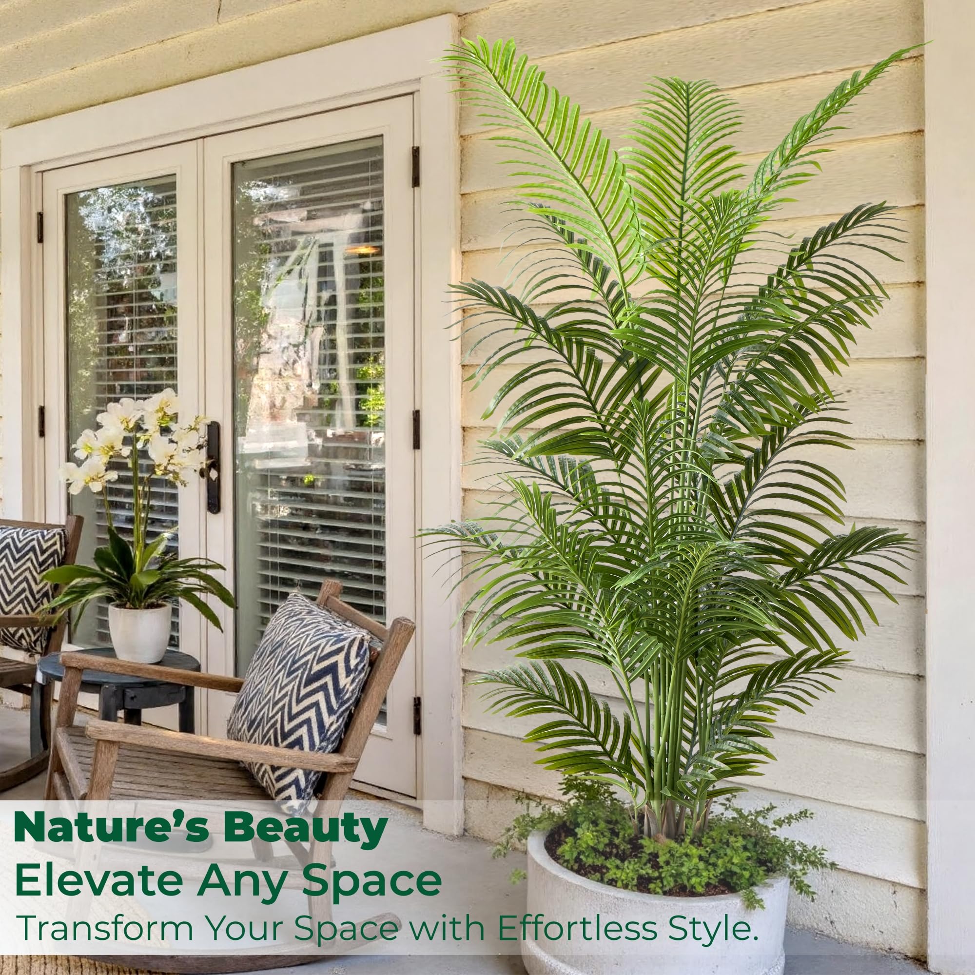 FloraFairy indoor office palm trees versatile in living spaces.