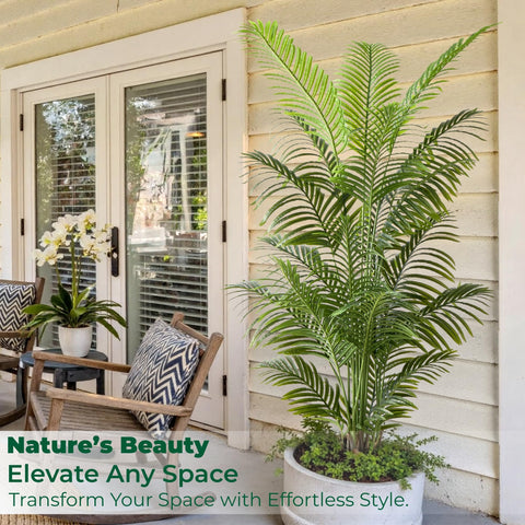 FloraFairy indoor office palm trees versatile in living spaces.