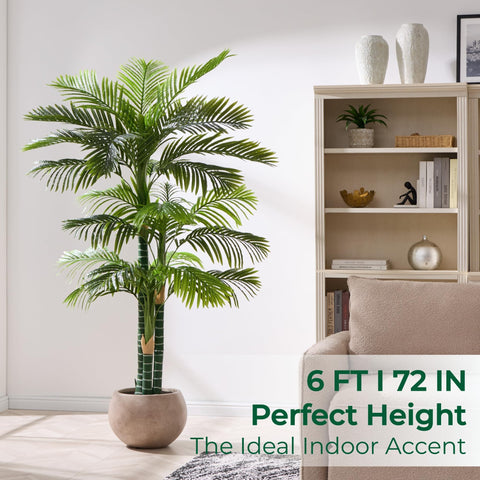FloraFairy indoor setup for living rooms with minimal maintenance.