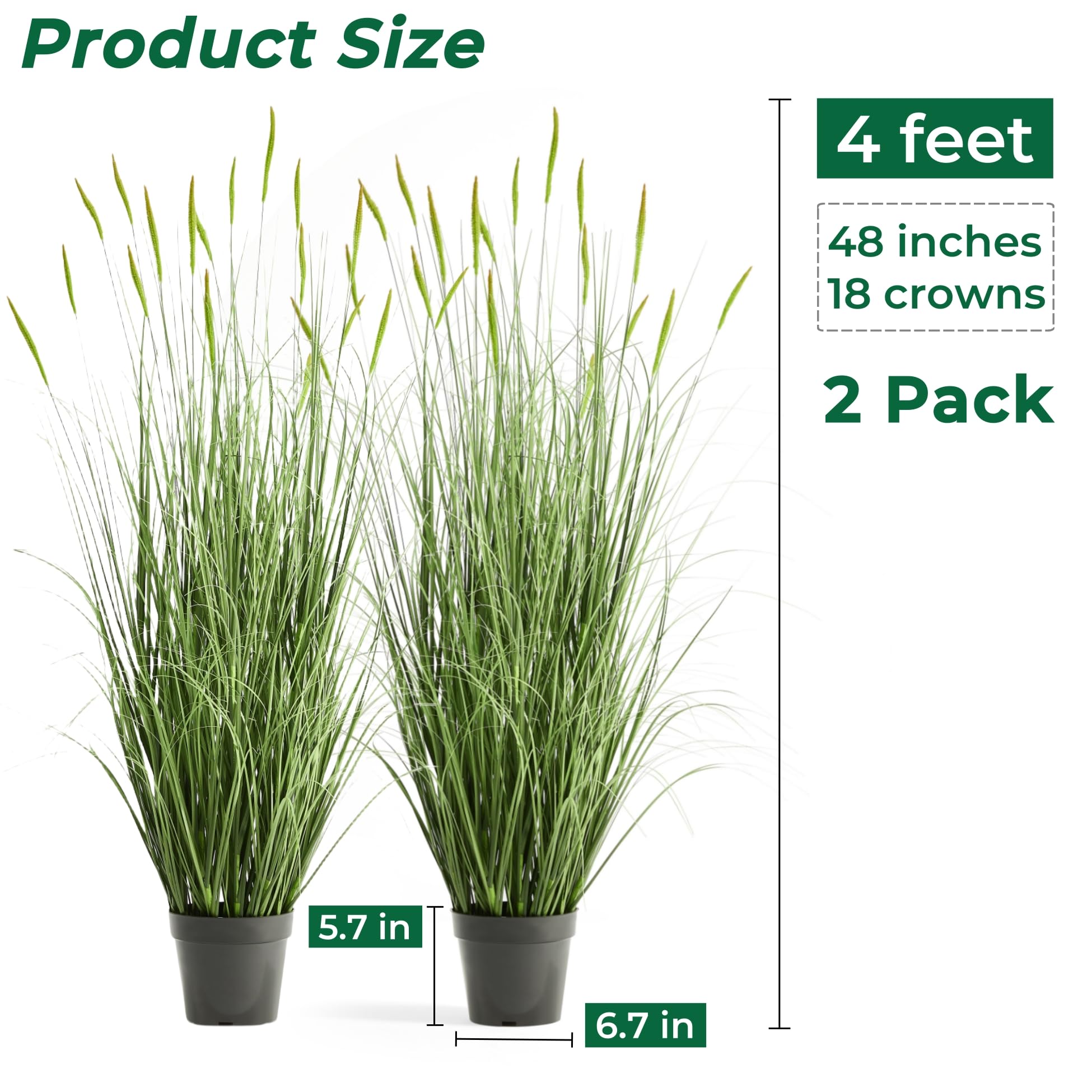 FloraFairy weighted pot keeps horsetail stable in busy spaces.