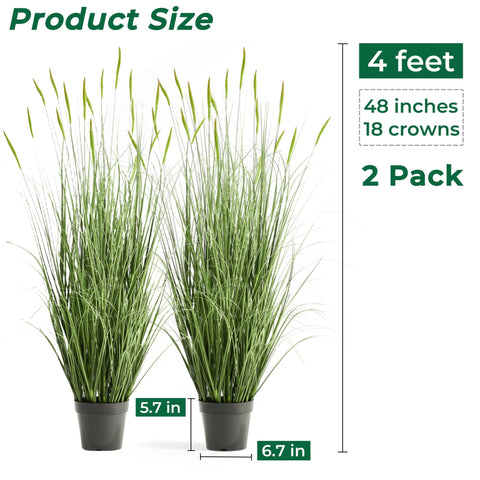FloraFairy weighted pot keeps horsetail stable in busy spaces.