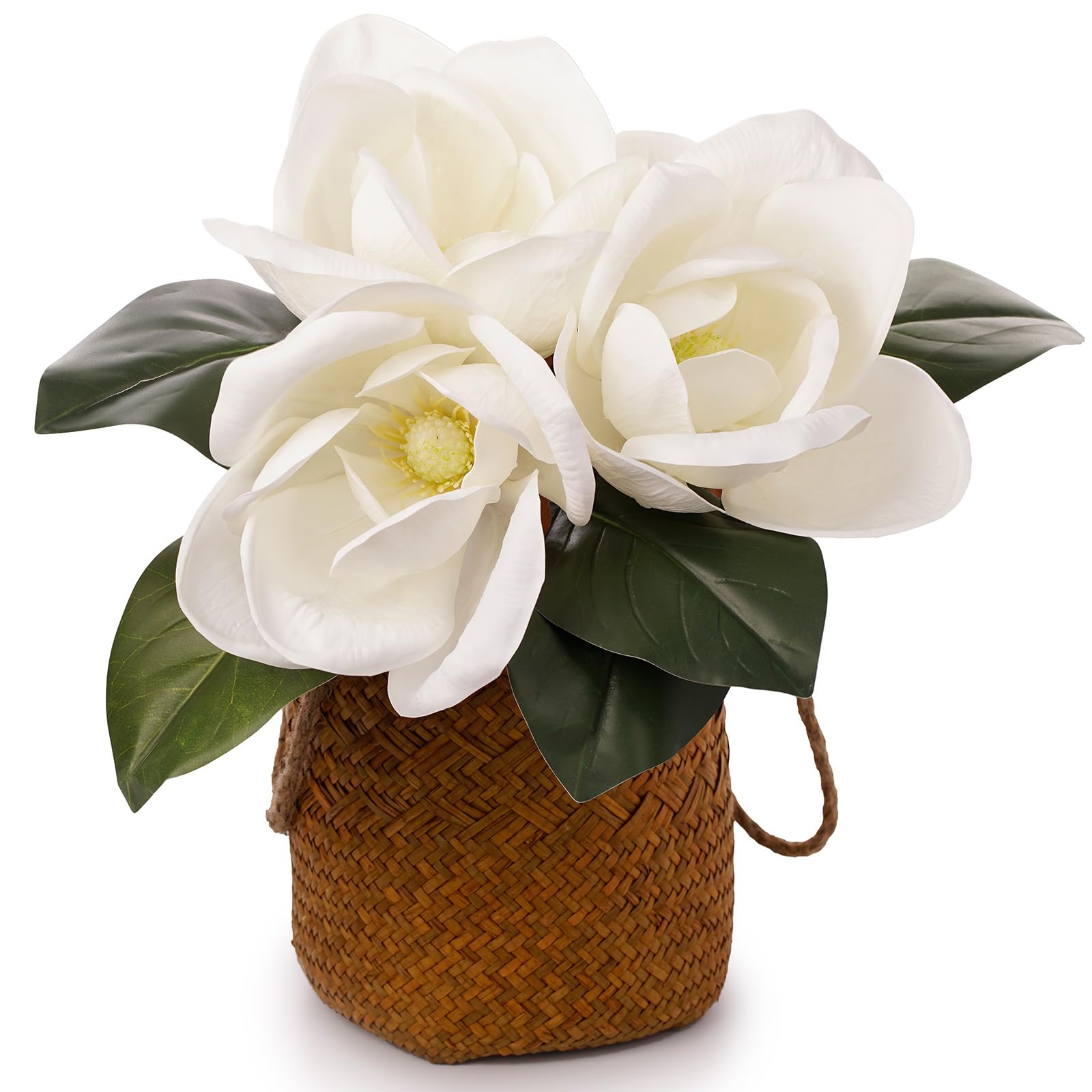 FlorisDecor large magnolia bloom makes an elegant centerpiece