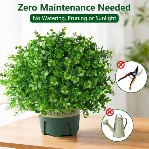 Florisso boxwood topiary for porch and garden accents.