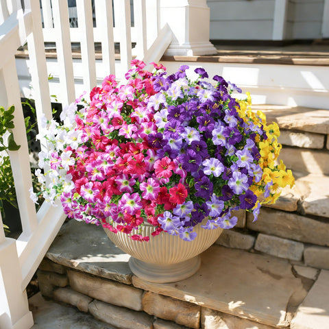 Florisso morning glory and eucalyptus mix for porch and deck