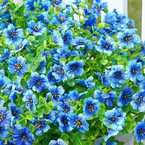 Florisso daisies offer colorful blooms for bouquets and centerpieces.