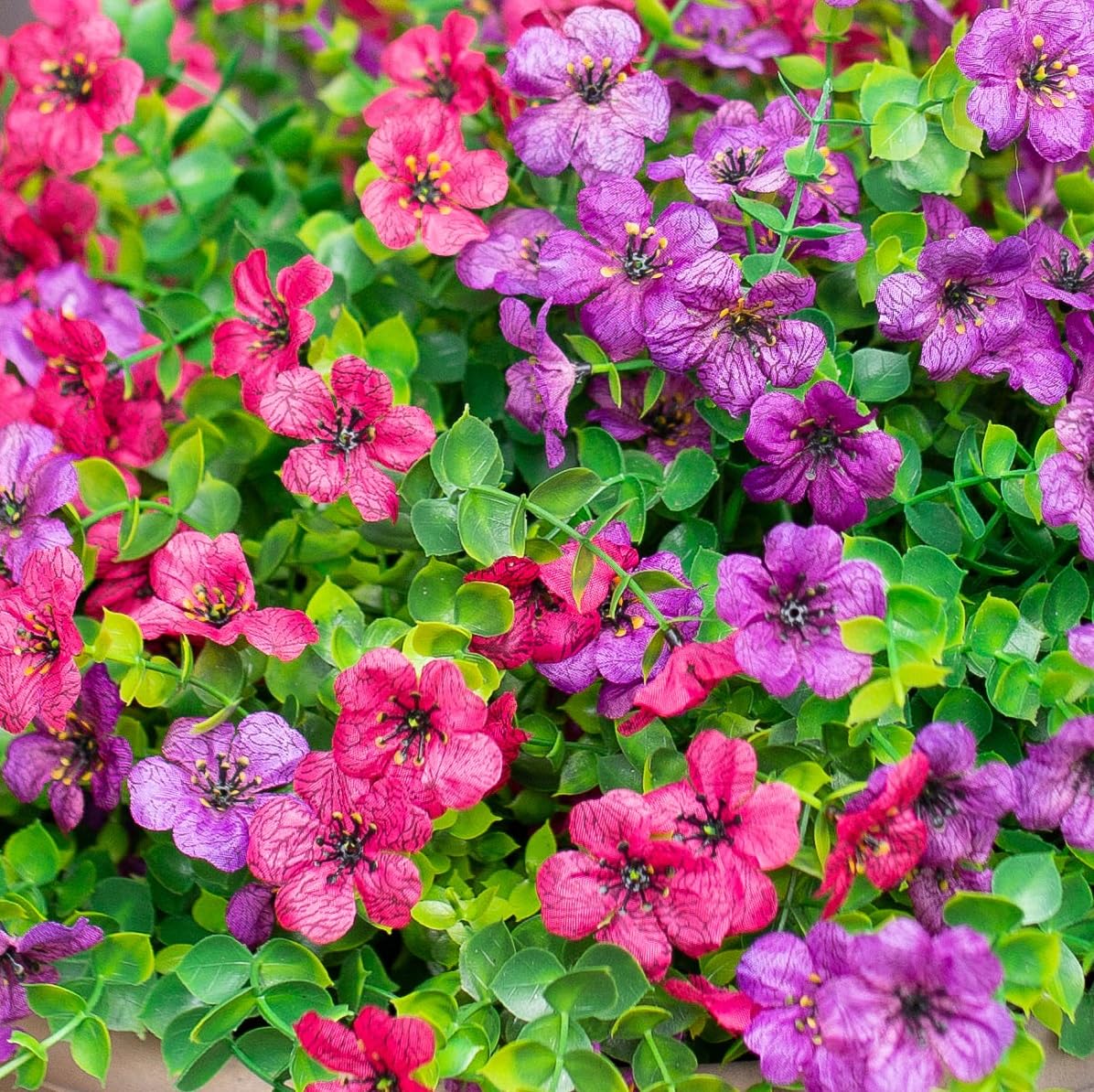 Florisso daisy colorful bundles offer versatile options for bouquets.