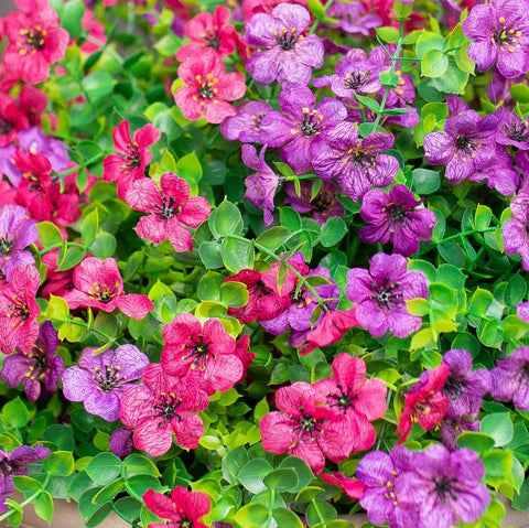 Florisso daisy colorful bundles offer versatile options for bouquets.