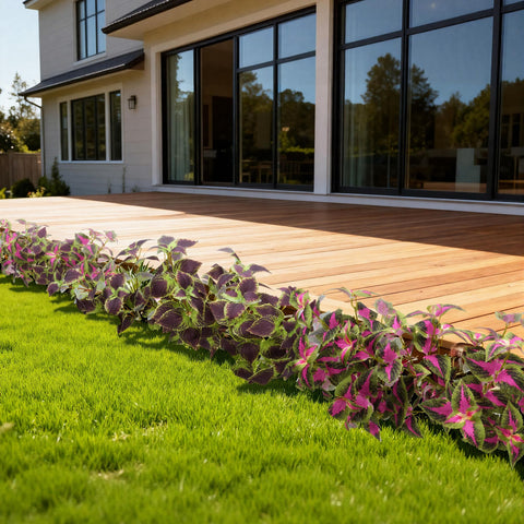 Florisso outdoor faux coleus plant ideal for porch or garden displays.