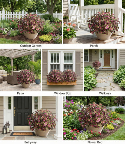 Florisso red coleus artificial plant, 15.7 inches tall, adds lasting color to porches.