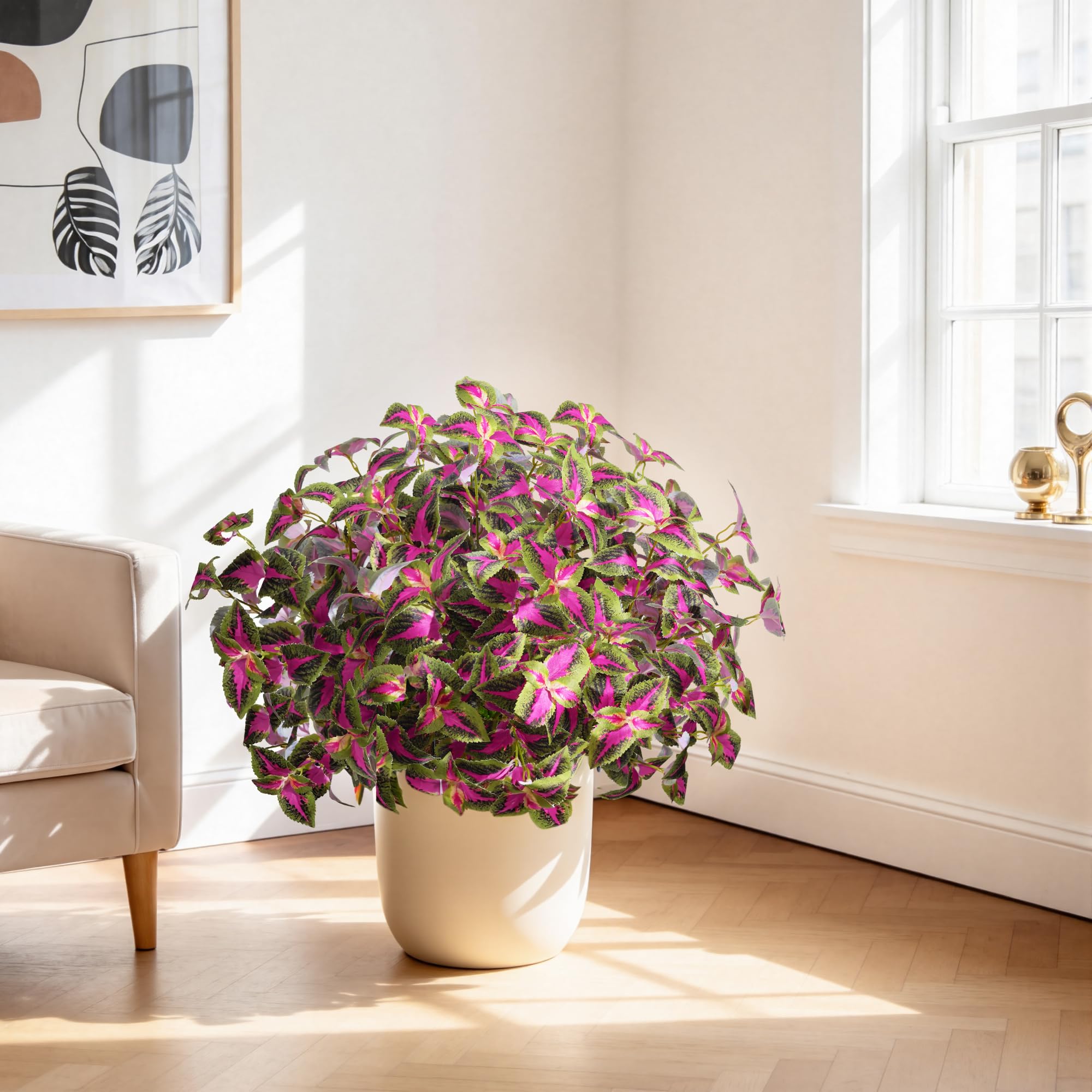 Florisso red coleus for yard display adds color and charm.