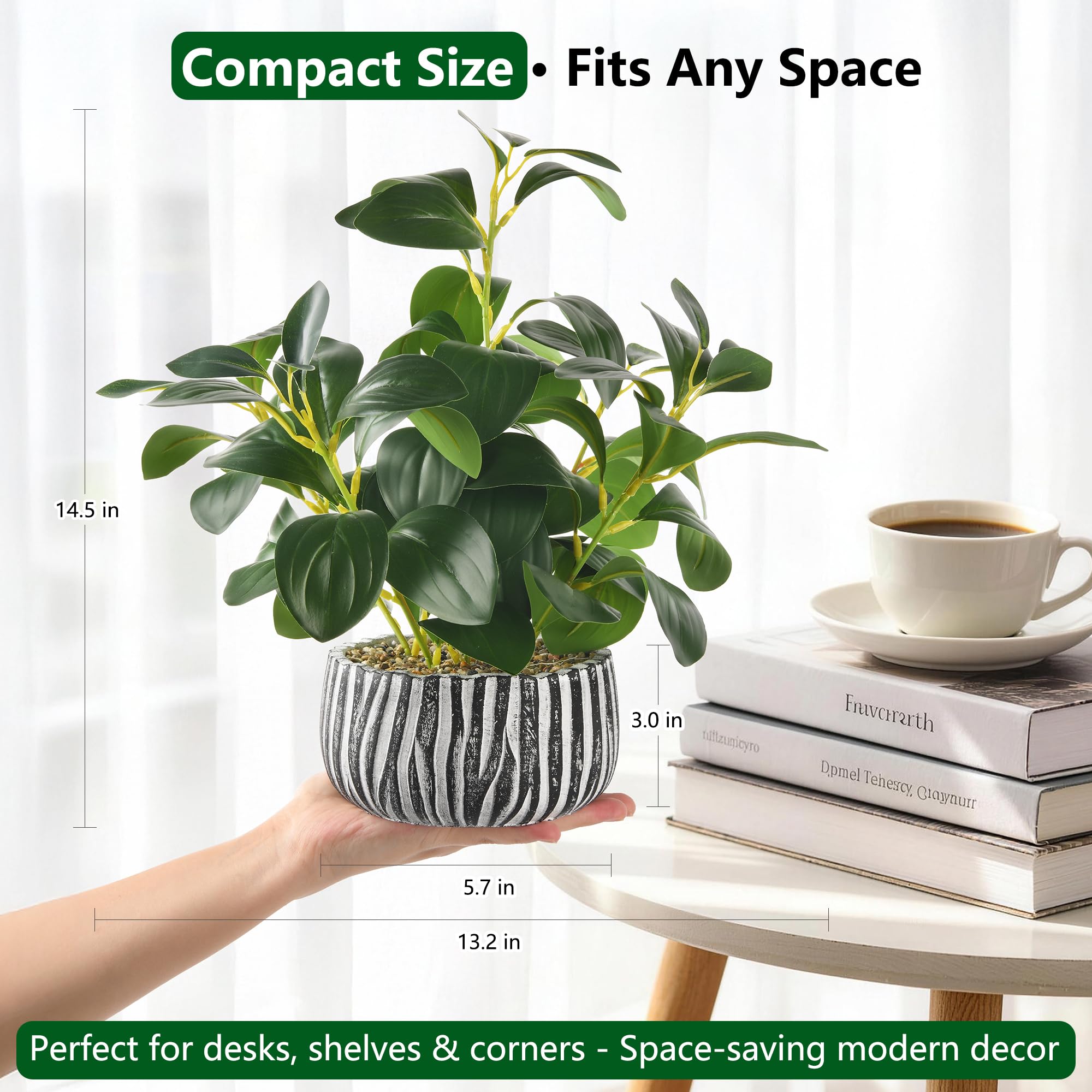 florisso rustic cement planter holds lifelike fig leaves with easy maintenance