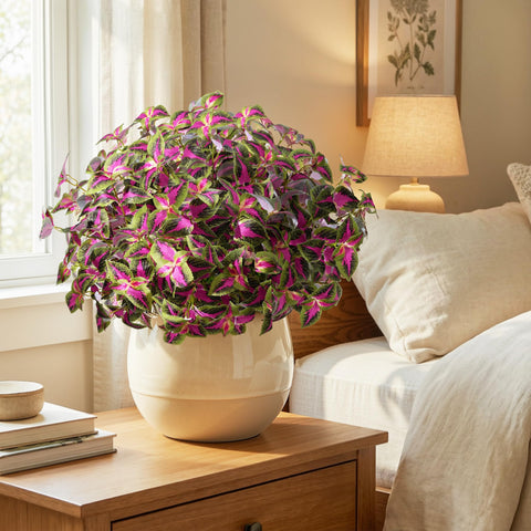 Florisso weatherproof silk plants resist sun and rain for outdoor use.