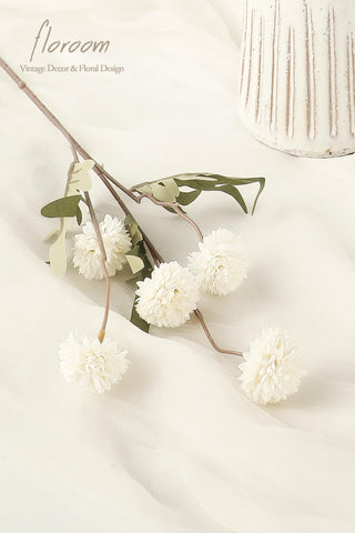 Floroom vase fillers for home décor, enhance living spaces with neutral tones.