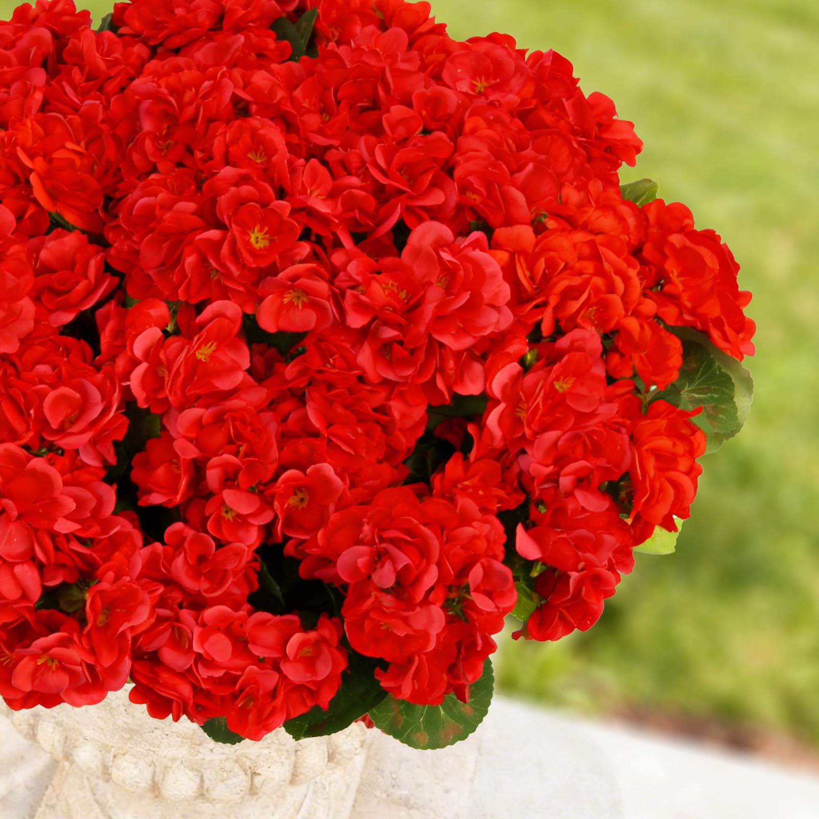 Flortevera basket and planter display with artificial geraniums