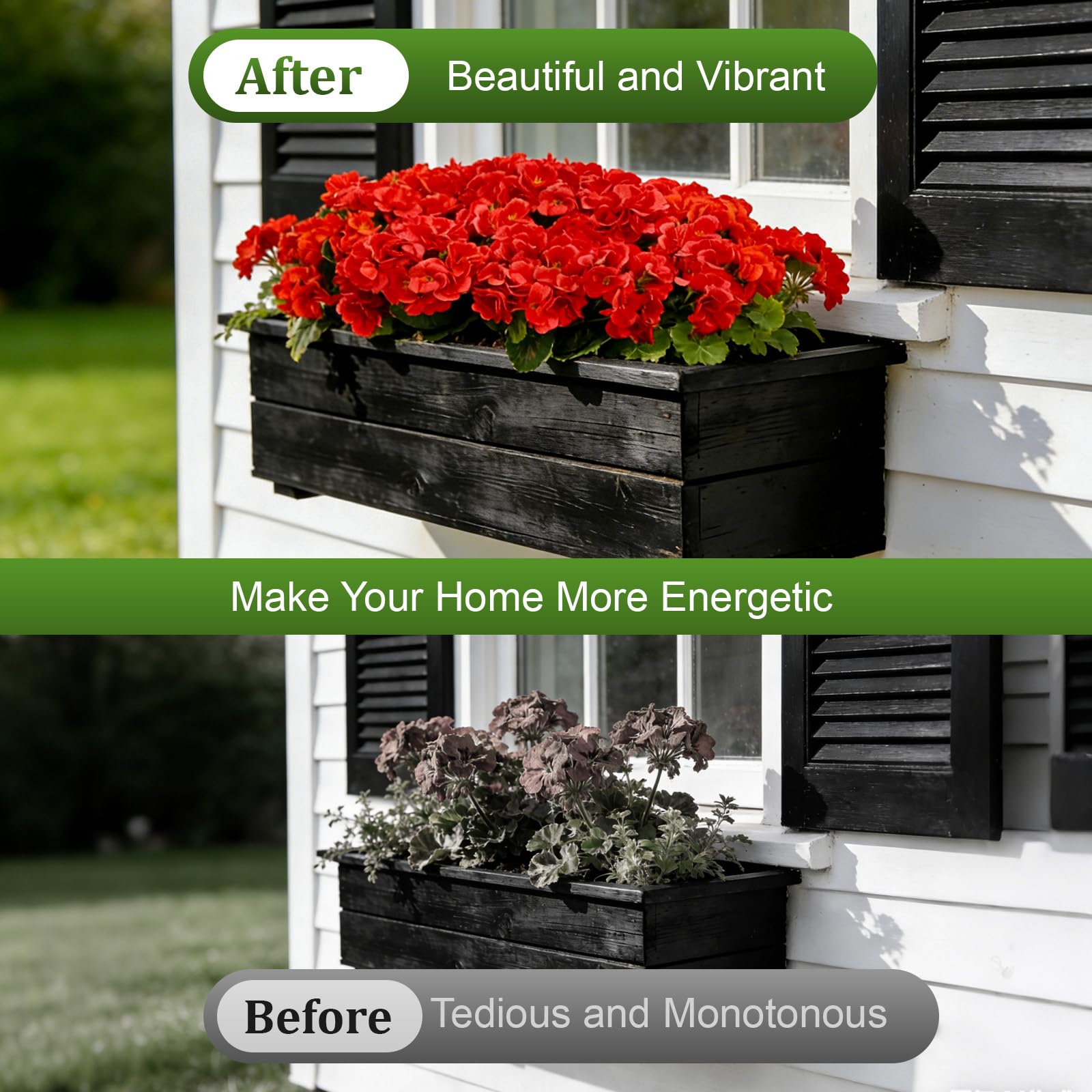 Flortevera patio planter display with cascading geraniums