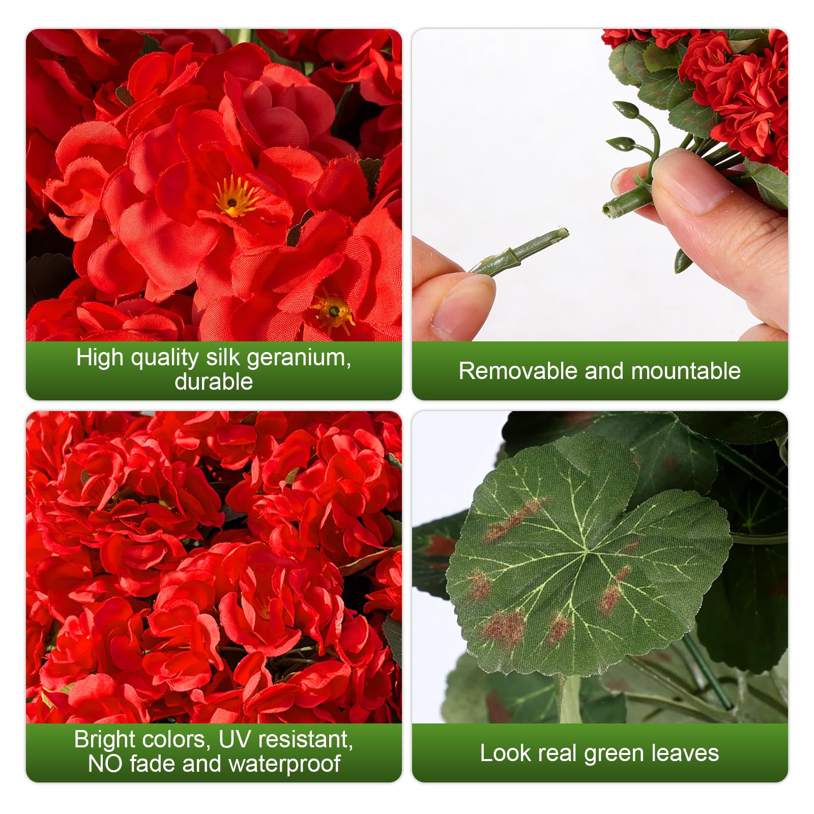 Flortevera UV-resistant outdoor geranium bloom enduring sun and rain
