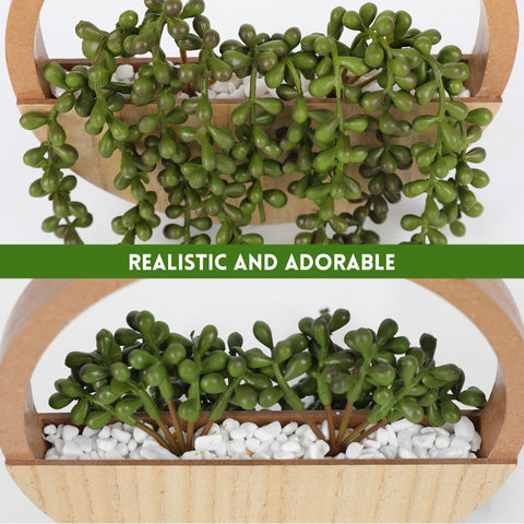 Floweroyal artificial succulent pair shown in a versatile hanging display.