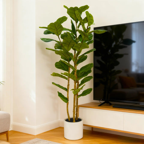 FLRLIVING floor plant elevates modern spaces with minimal effort