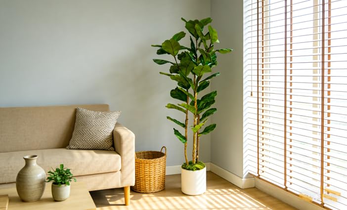 FLRLIVING serene interior display offers a calm, stylish focal point