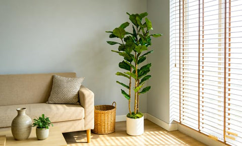 FLRLIVING serene interior display offers a calm, stylish focal point