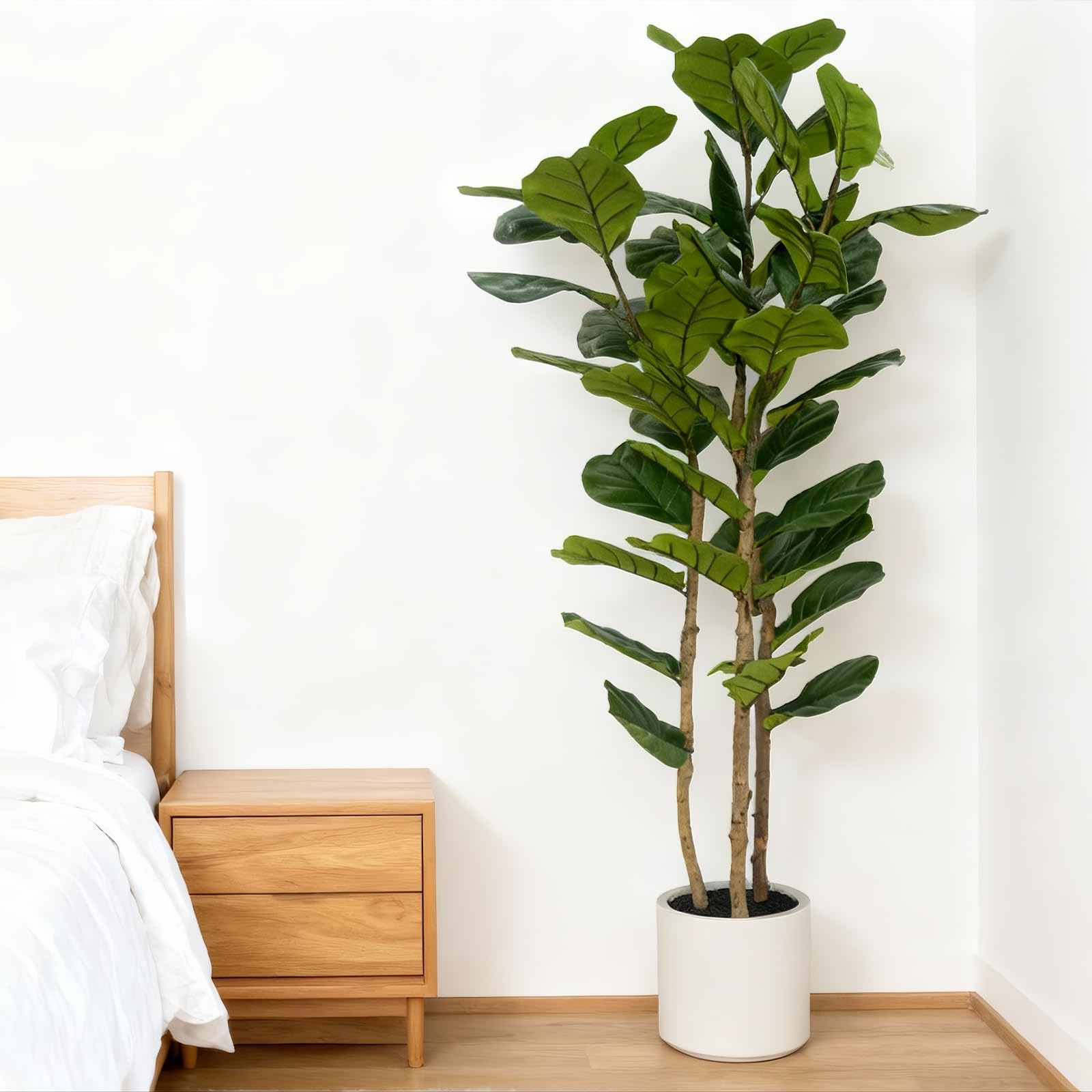 FLRLIVING three-wood-trunk construction provides authentic fiddle leaf look