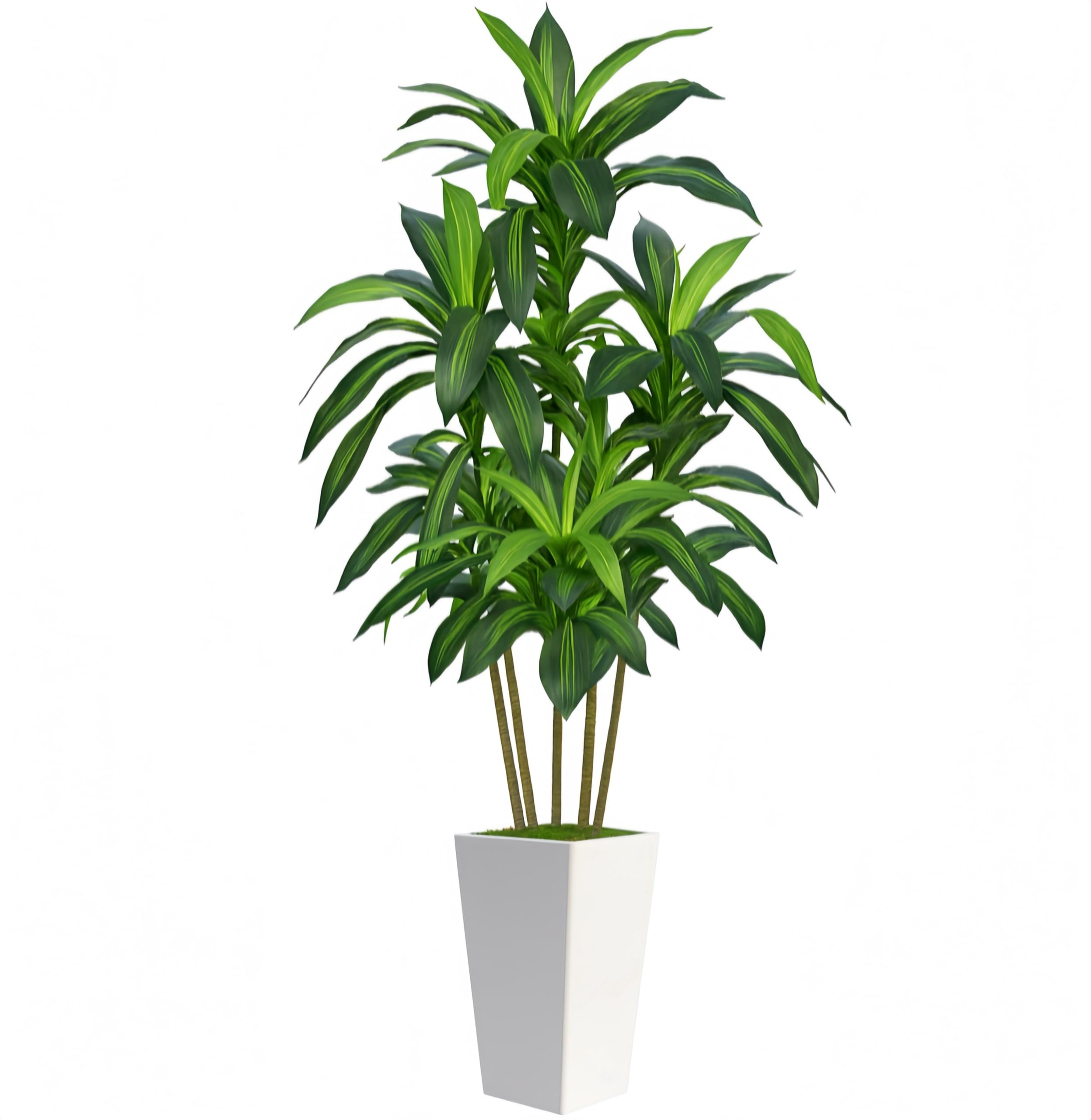 Flydeer 7ft dracaena tree in white planter adds lifelike greenery to living rooms
