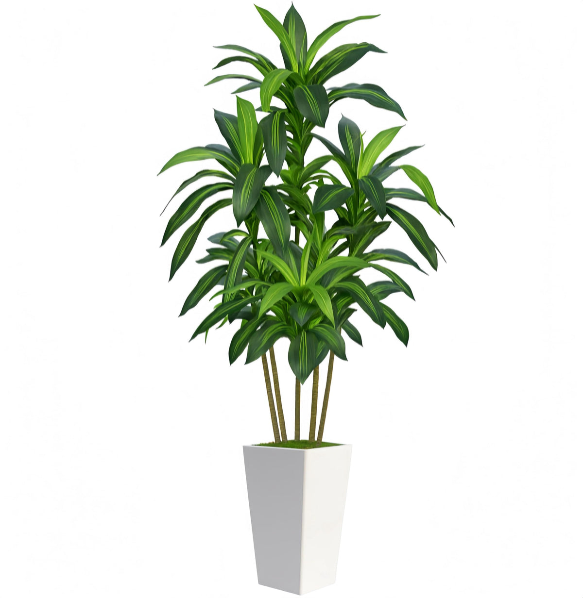 Flydeer 7ft dracaena tree in white planter adds lifelike greenery to living rooms