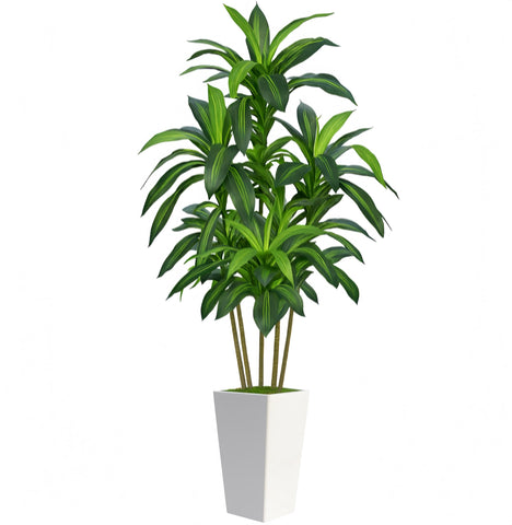 Flydeer 7ft dracaena tree in white planter adds lifelike greenery to living rooms
