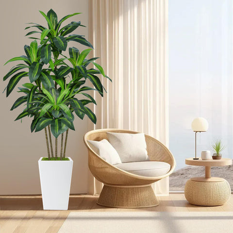 Flydeer dracaena tree black pot setup suits modern interiors