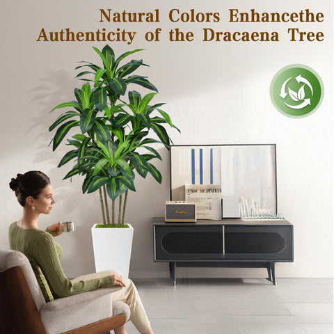 Flydeer dracaena tree full height enhances space with lush silhouette